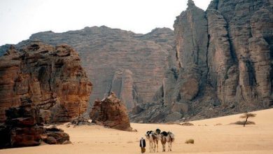 Photo of مديرية الثقافة والفنون لولاية إيليزي تسطر برنامجا ثقافيا بمناسبة شهر التراث لابراز الموروث الحضاري لمنطقة الطاسيلي ناجر .