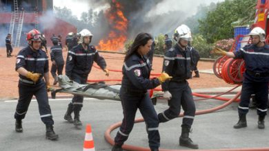 Photo of شددت وزيرة التضامن الوطني والأسرة وقضايا المرأة، كوثر كريكو، “احترافية” المرأة في سلك الحماية المدنية سيما في مجال الطيران و الطب.