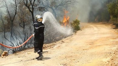 Photo of أشاد وزير الداخلية التونسي ت شرف الدين ، الأربعاء ، بالدعم الفوري الذي تقدمه الجزائر لتونس من أجل إطفاء حرائق الغابات التي تجتاح البلاد ، معربا عن شكره “للأشقاء الجزائريين” الذين كانوا “كالعادة هناك ولم يترددوا في ذلك. مد يد العون “لتونس”.