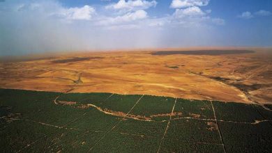 Photo of صرح وزير الفلاحة و التنمية الريفية, محمد عبد الحفيظ هني، الخميس، عرضا حول مدى تقدم تهيئة و توسيع السد الاخضر.