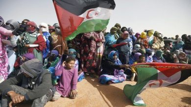 Photo of عقد مجلس الأمن الدولي خلال شهر أكتوبر الجاري أربع جلسات لمناقشة تطورات القضية الصحراوية.