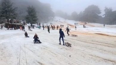 Photo of البليدة: توافد كبير للعائلات على مرتفعات الشريعة للتمتع بمناظر الثلوج.