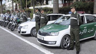 Photo of حرائق الغابات: الدرك الوطني يشارك في التحقيقات وإحصاء المتضررين وحجم الخسائر.