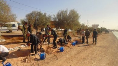 Photo of ليوم الوطني للشجرة : تنظيم حملات تشجير واسعة بجنوب البلاد.